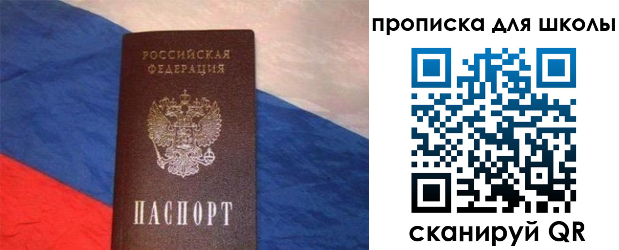 прописка поиск в Нижнекамске